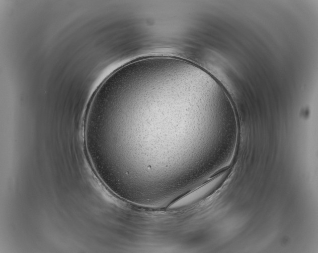 X0000090471436200707201345