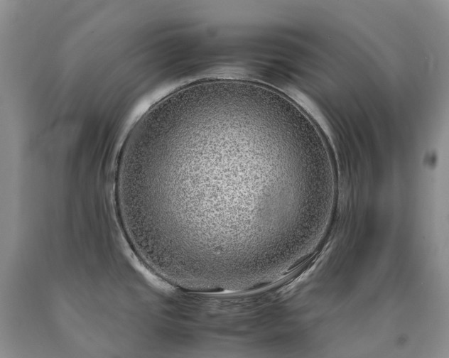 X0000090471437200707201345