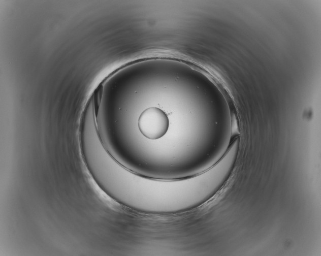 X0000090471438200707201345
