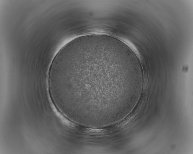 X0000090471439200707201345