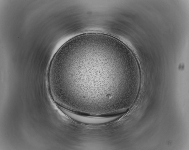 X0000090471440200707201345