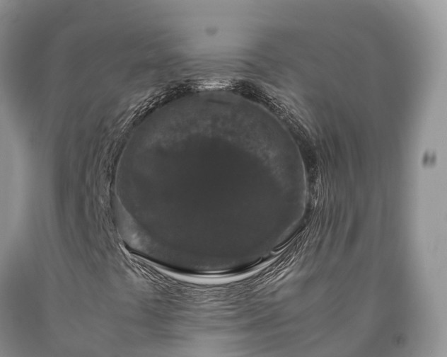 X0000090471441200707201345