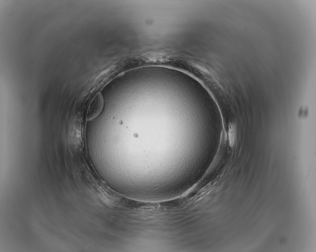 X0000090471444200707201345