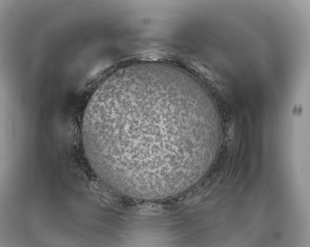 X0000090471446200707201345