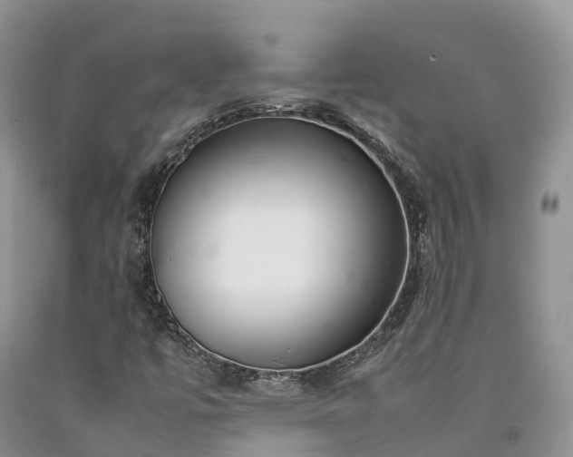 X0000090471447200707201345
