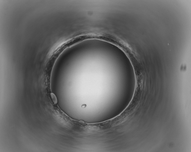 X0000090471448200707201345