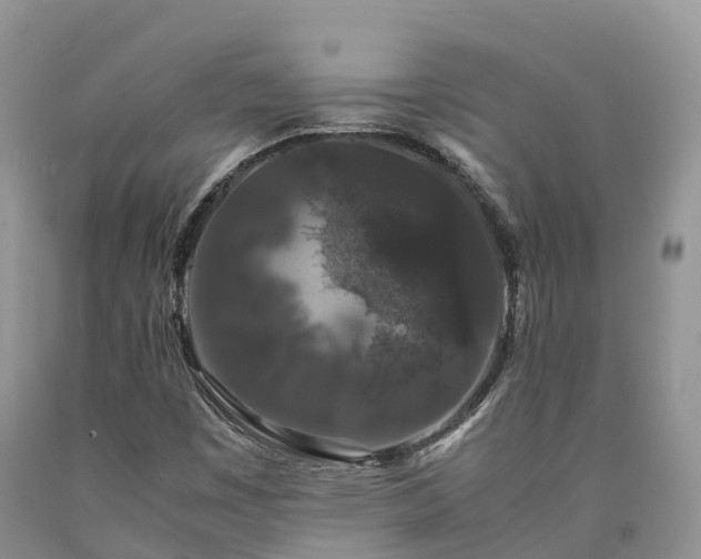 X0000090471449200707201345
