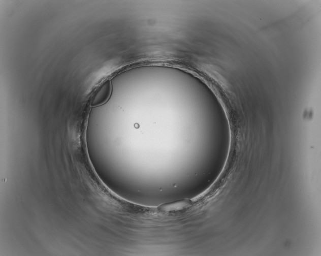 X0000090471451200707201345