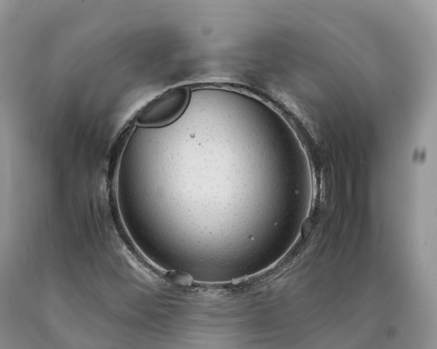 X0000090471452200707201345