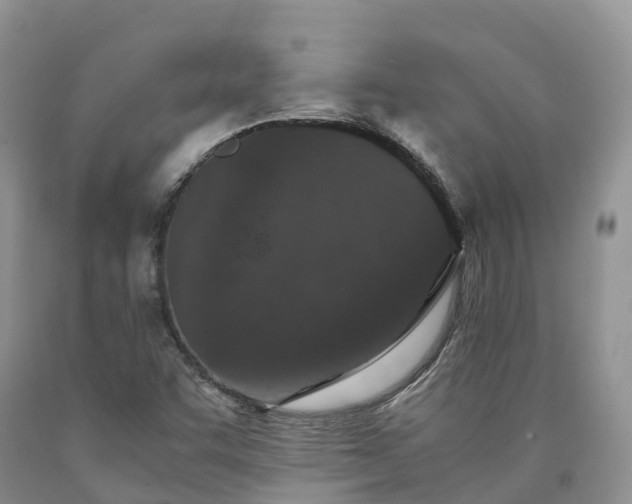 X0000090471455200707201345