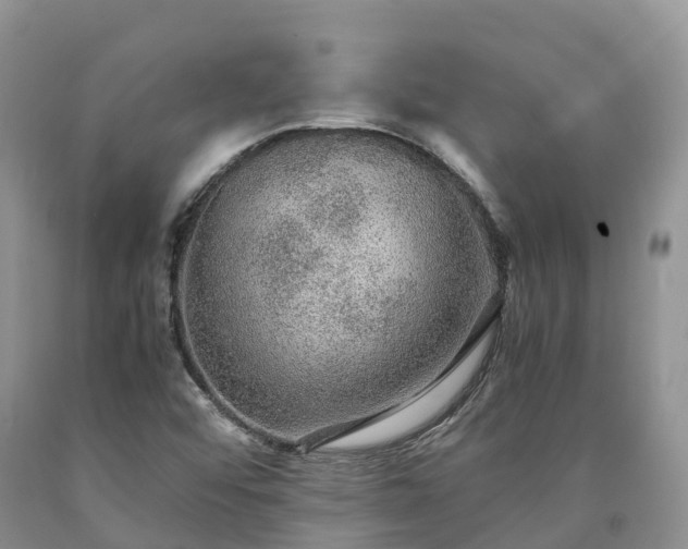 X0000090471456200707201345