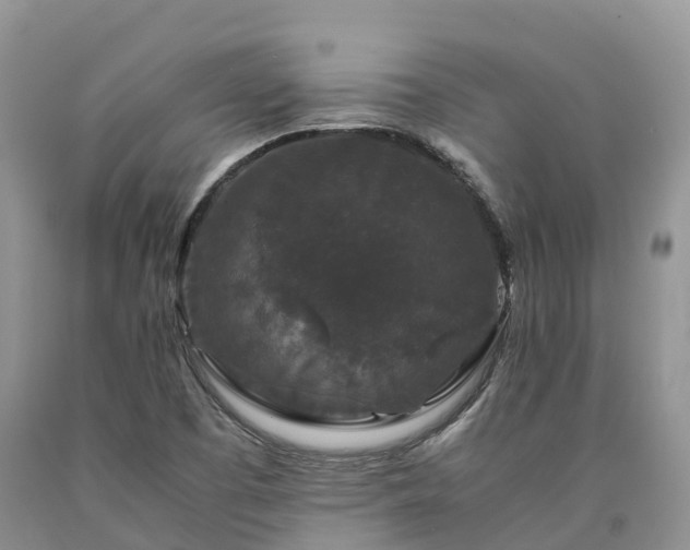 X0000090471457200707201345