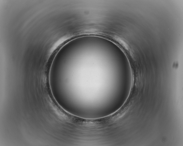 X0000090471458200707201345