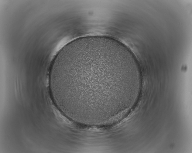 X0000090471459200707201345