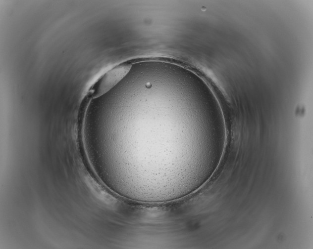 X0000090471460200707201345