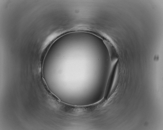 X0000090471461200707201345