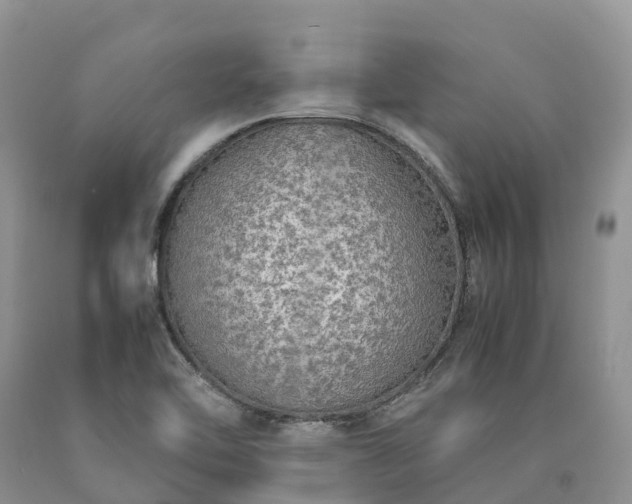X0000090471462200707201345