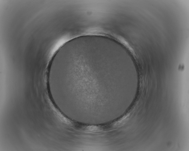 X0000090471463200707201345
