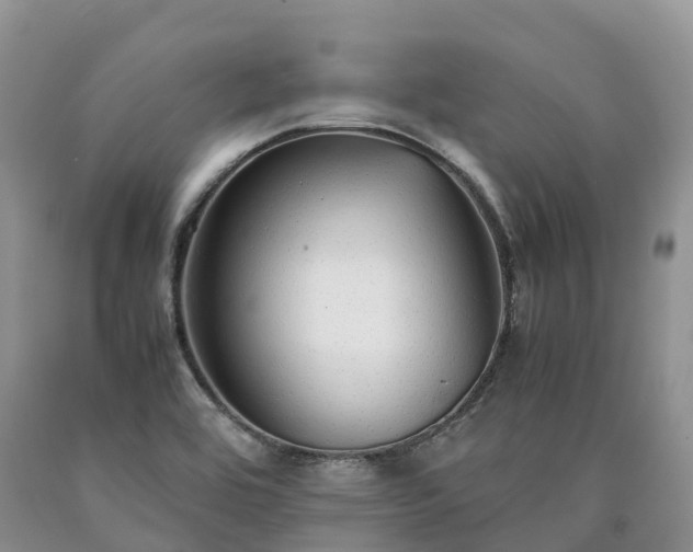 X0000090471464200707201345