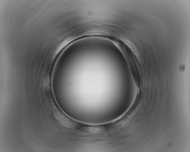 X0000090471465200707201345