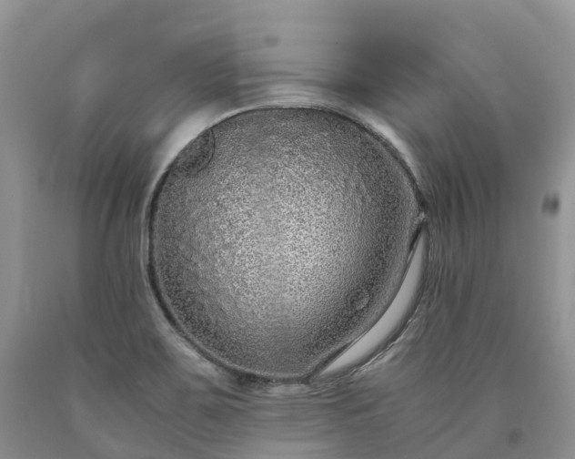 X0000090471467200707201345