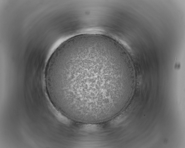 X0000090471470200707201345
