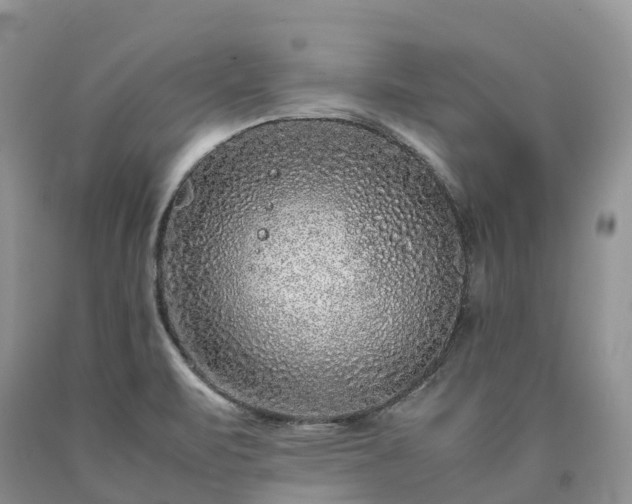 X0000090471471200707201344