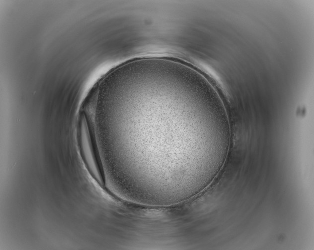 X0000090471472200707201344