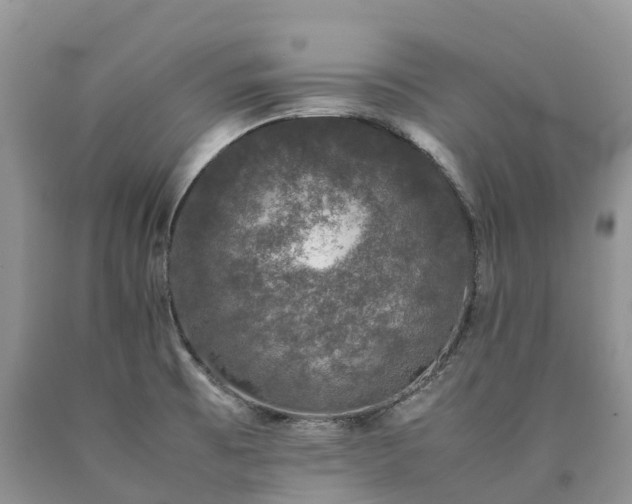X0000090471473200707201344