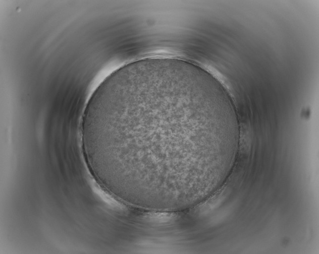 X0000090471474200707201344