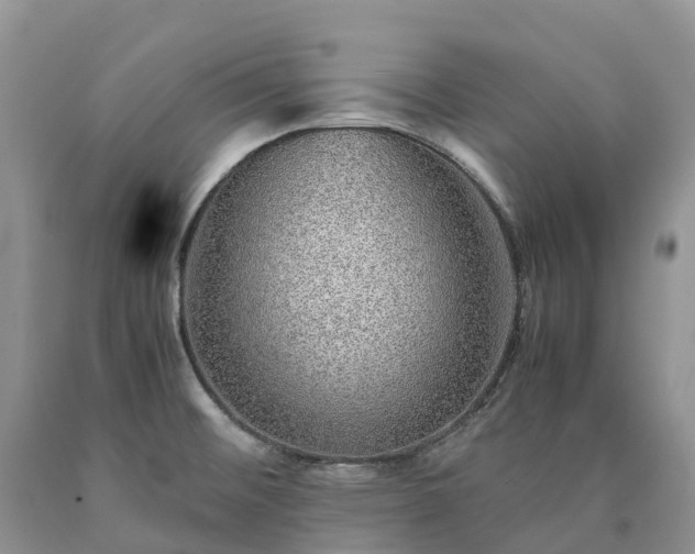 X0000090471476200707201344