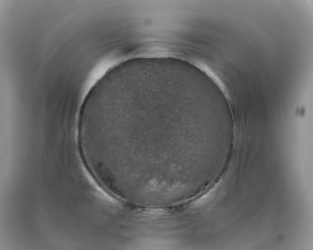 X0000090471477200707201344