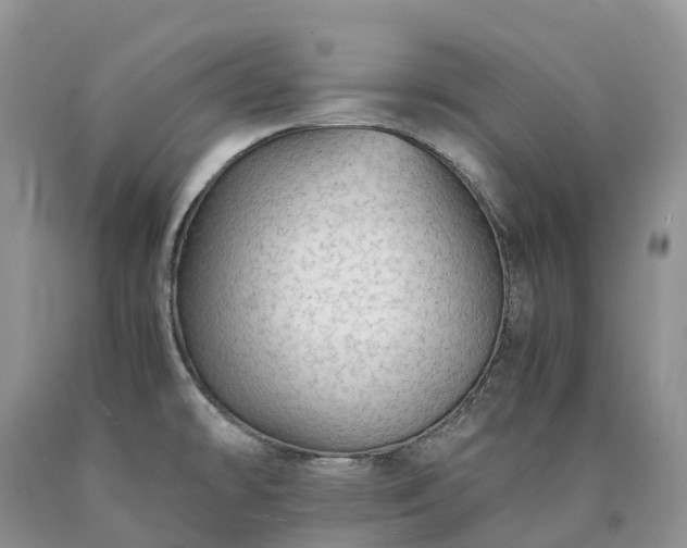 X0000090471478200707201344