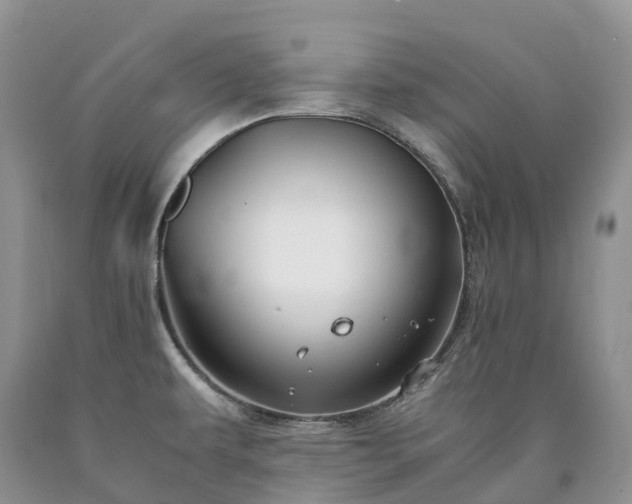 X0000090471479200707201344