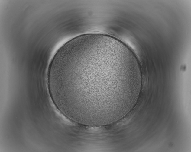 X0000090471480200707201344