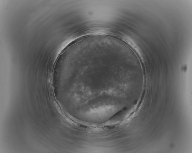 X0000090471481200707201344