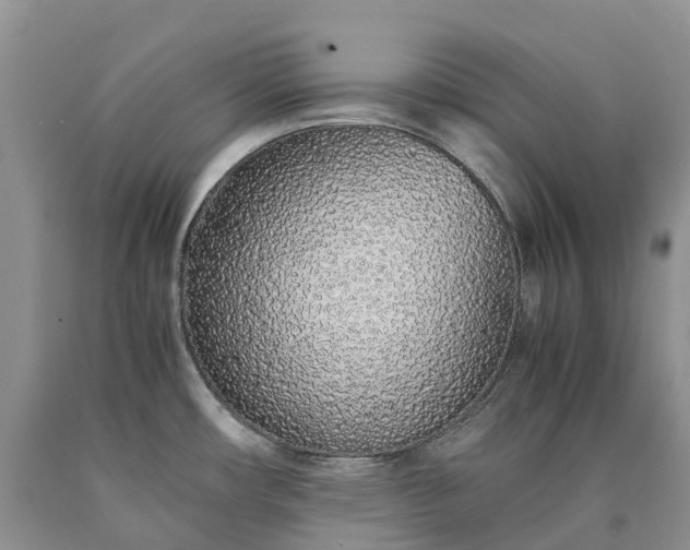 X0000090471482200707201344