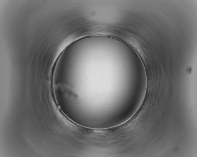 X0000090471483200707201344