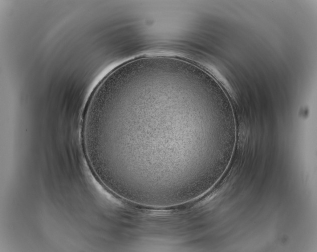 X0000090471484200707201344