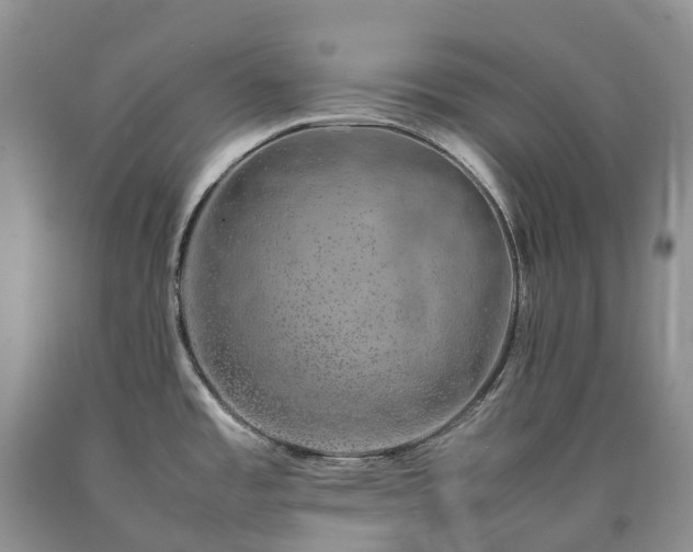 X0000090471485200707201344