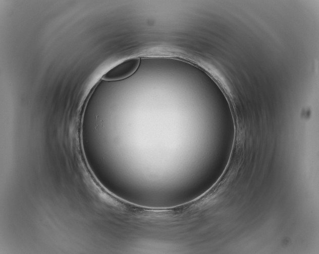 X0000090471486200707201344