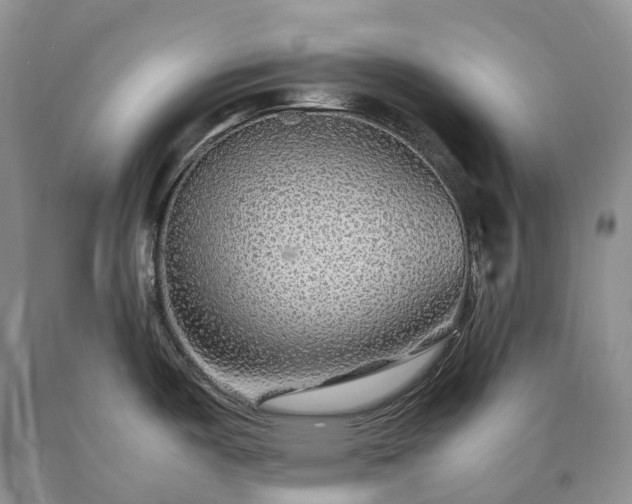 X0000090471487200707201344