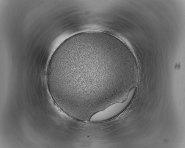 X0000090471488200707201344