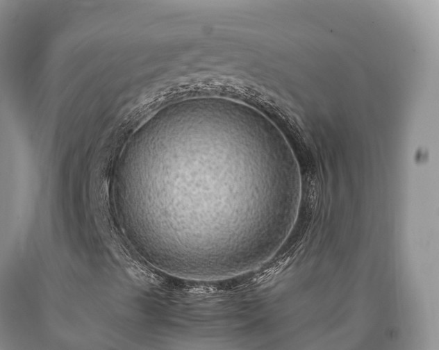 X0000090471489200707201343