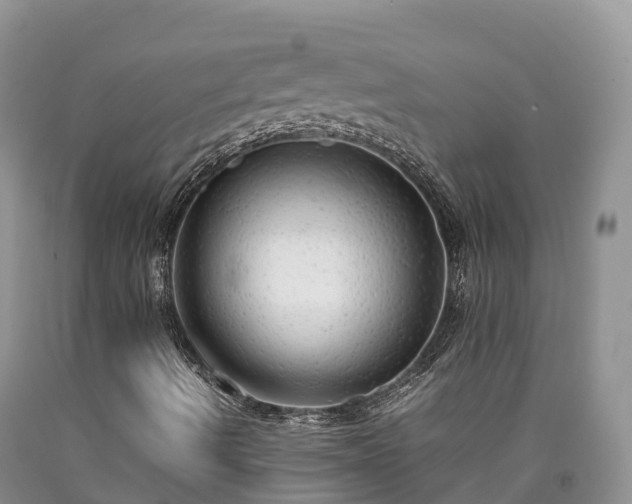 X0000090471490200707201344