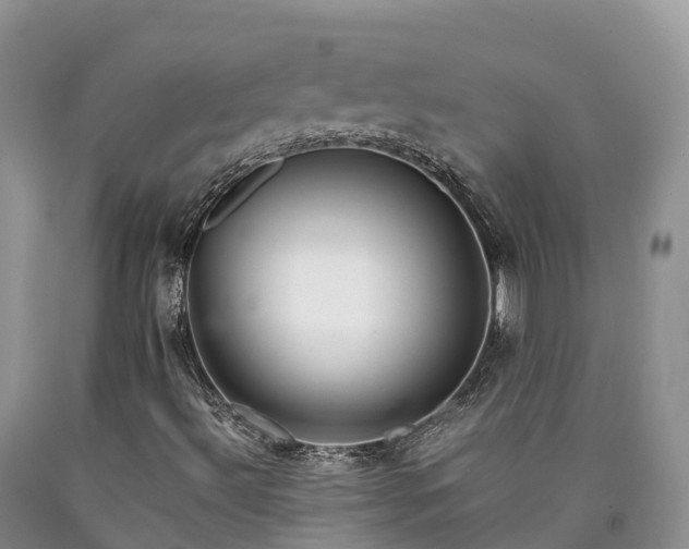 X0000090471492200707201344