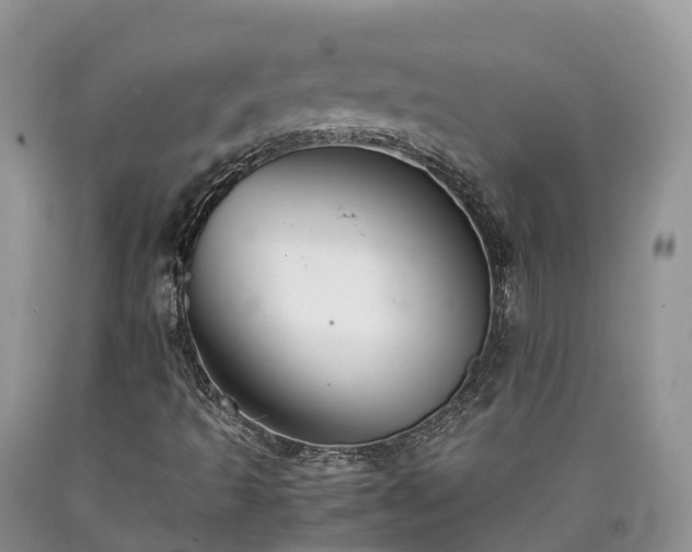 X0000090471493200707201344