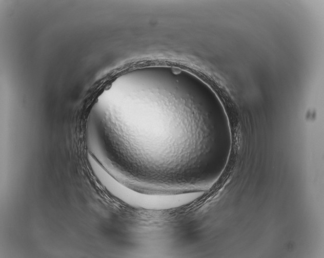 X0000090471494200707201344