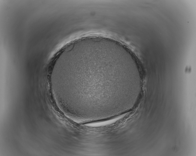X0000090471496200707201344
