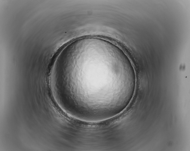 X0000090471497200707201344